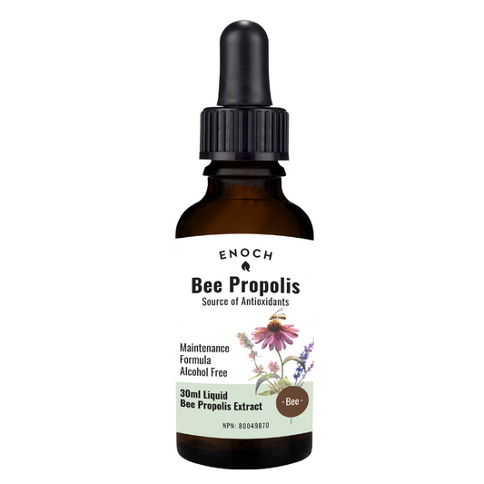 Enoch Bee Propolis Concentrated Extract Alcohol Free 30 ml